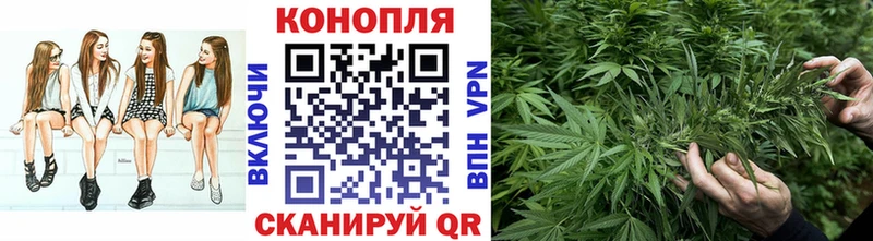 Где купить Благовещенск Гашиш  blacksprut маркетплейс  COCAIN  МЕФ  Псилоцибиновые грибы  Бошки Шишки  APVP 