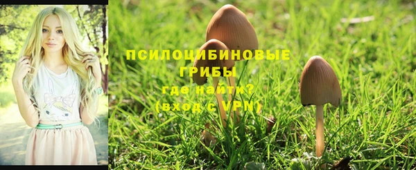 mix Абаза