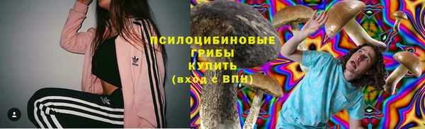 mix Абаза