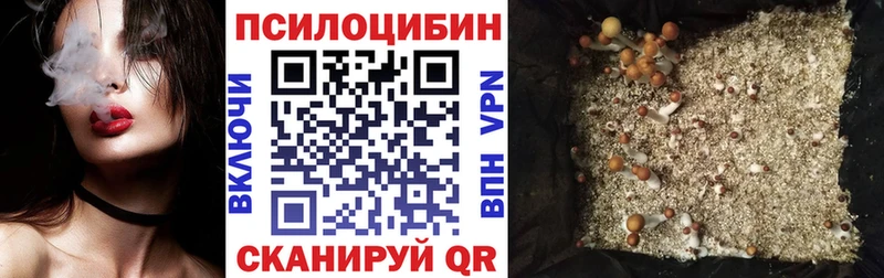 Псилоцибиновые грибы Psilocybe  Благовещенск 